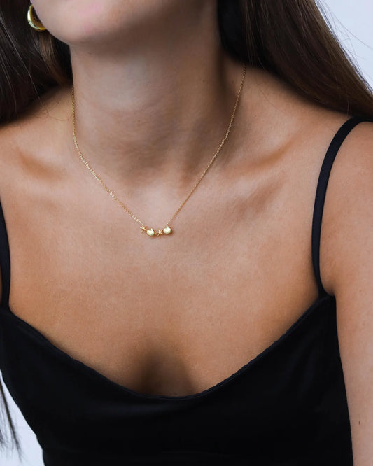 Seashell Necklace
