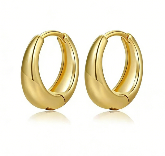 Small Hoop Earrings