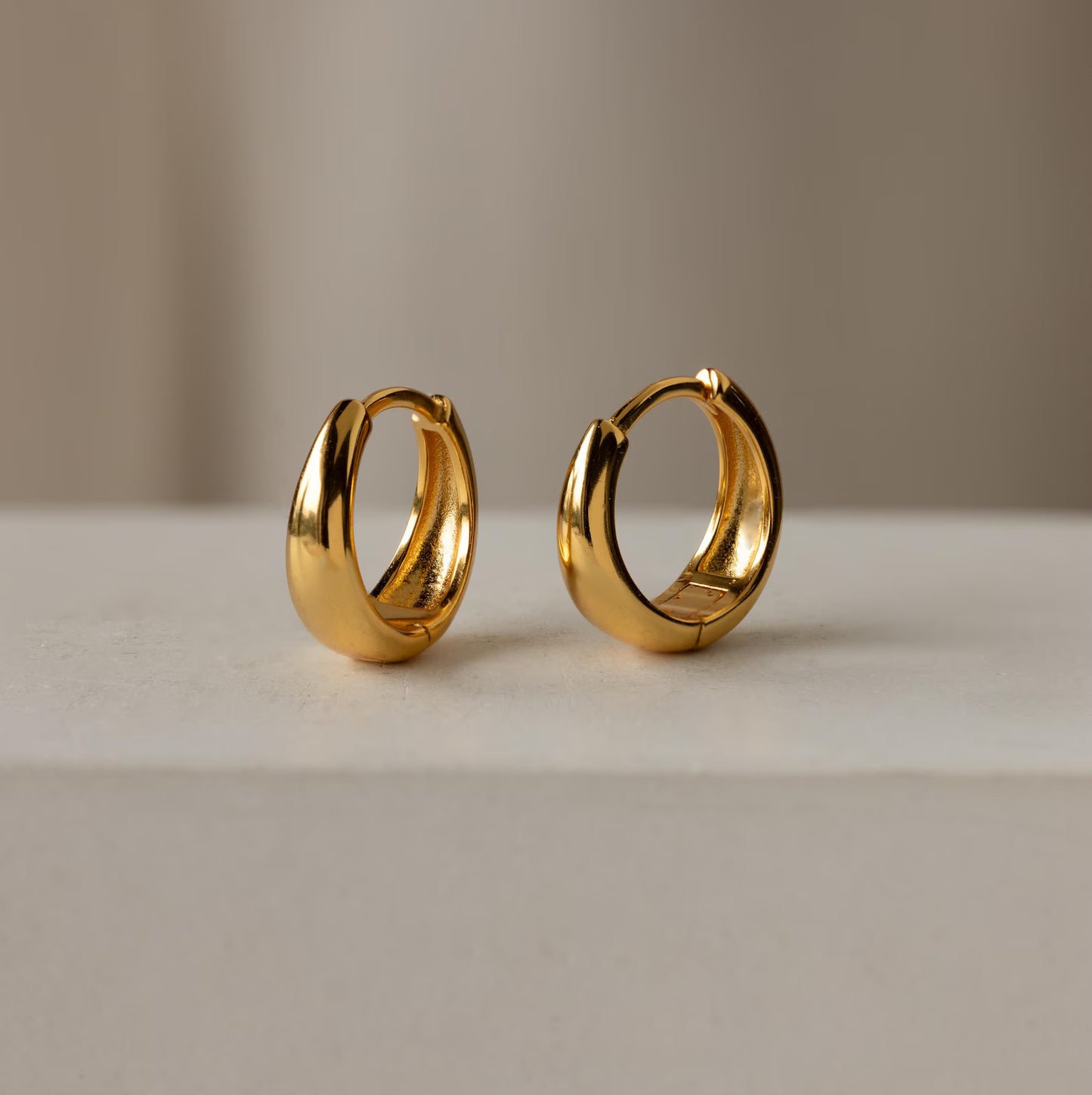 Small Hoop Earrings