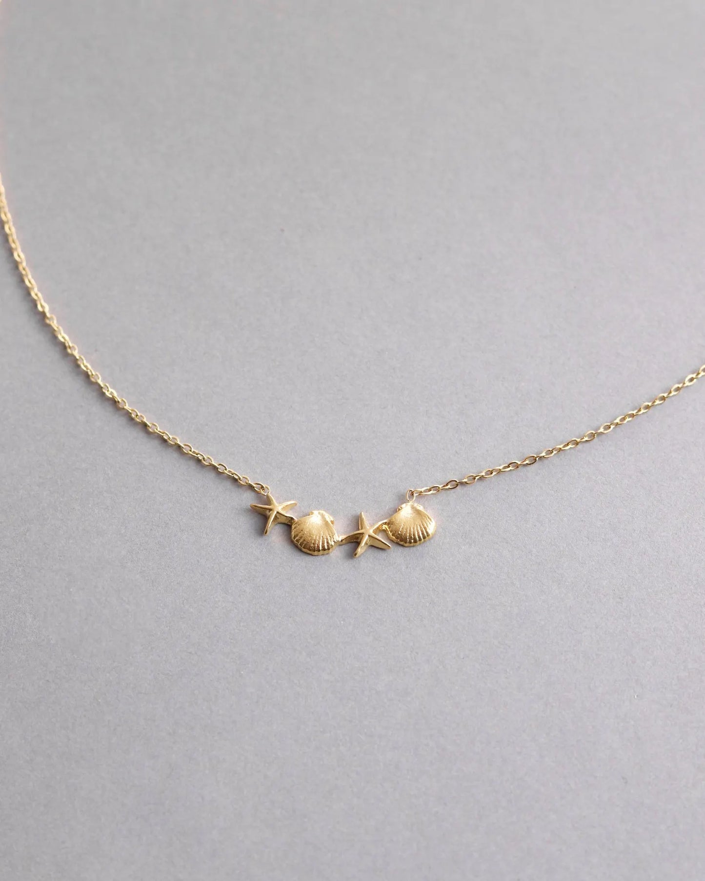 Seashell Necklace